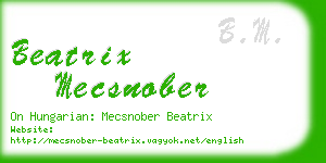 beatrix mecsnober business card